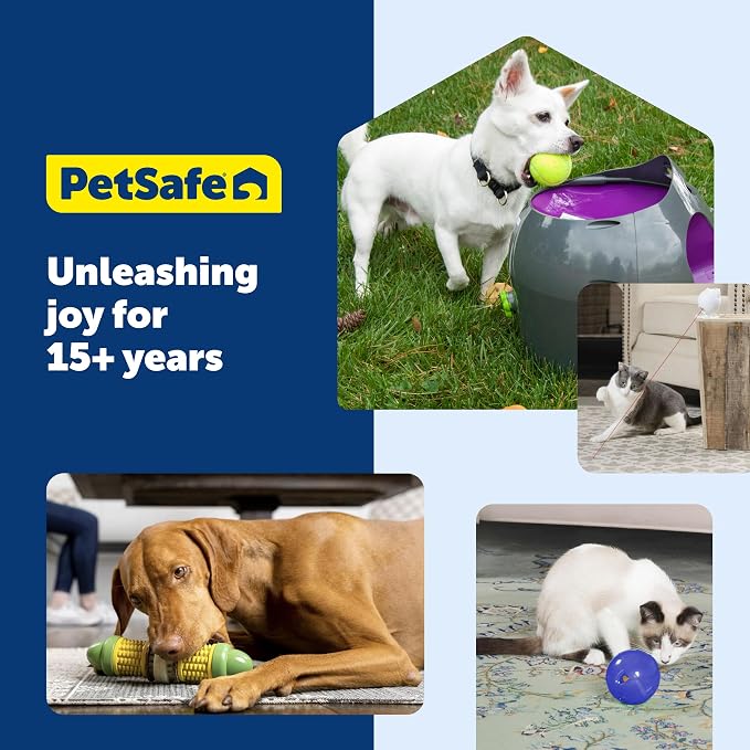 PetSafe Zoom Rotating Laser Cat Toy Includes 2 Interactive Laser Lights