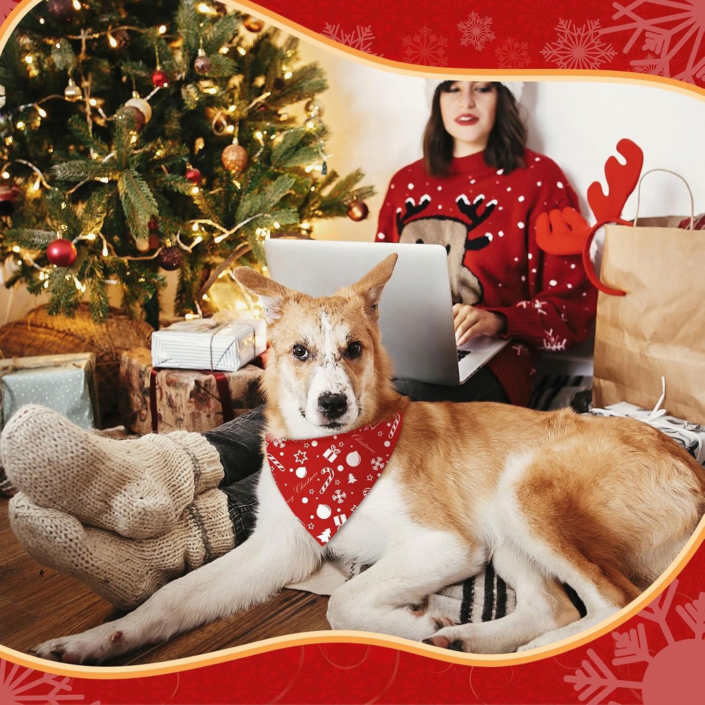 Abbylike 50 Pcs Christmas Dog Bandanas Bulk Xmas Red and White Bandanas for Dogs Triangle Kerchief Bibs Scarf Set for Pet Christmas Costume Photo Props Accessories Pet Shops (31.5 x 21.7 x 21.7)