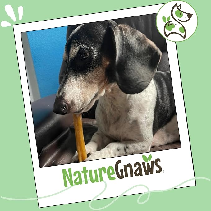 Nature Gnaws Variety Pack for Small Dogs (12 Count) - Bully Sticks, Beef Tendons and Tripe Twists for Dogs - Natural Long Lasting Beef Dog Chew Bones - Rawhide Free