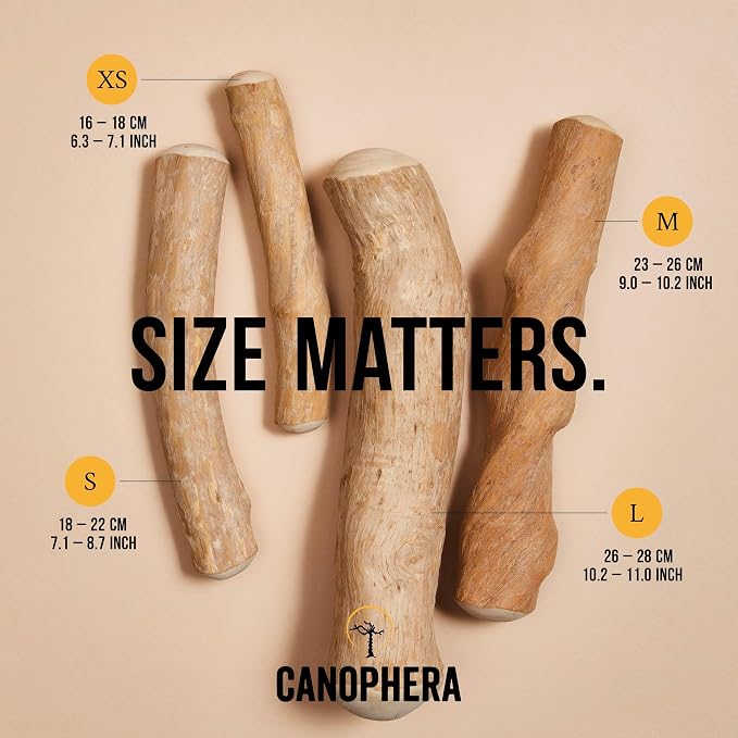 Canophera Xtra Small Dog Chew Sticks - 2 Pack of Coffee Tree Wood Chews for Healthy Teeth and Gums - All Dog Breeds