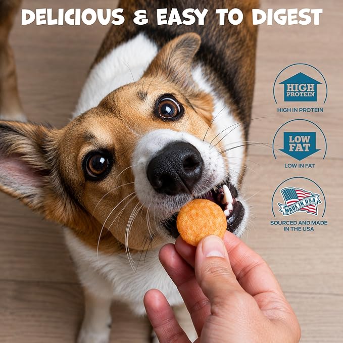 Pack Approved Chicken Chips - Crunchy, Single Ingredient Dog Treat -100% All Natural Chicken Breast - 12oz