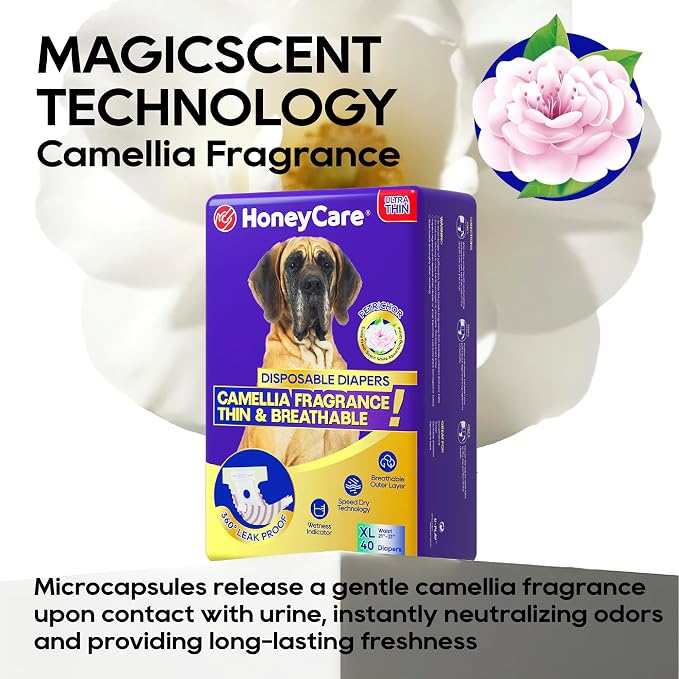 HONEY CARE Petrichor Female Dog Diaper, Camellia Fragrance, Emits Fresh Scent While Absorbing Urine, Thin & Breathable, XL, 40 Count