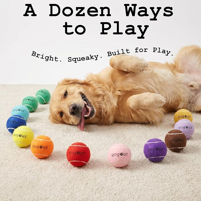 Squeaky Fetch Balls for Dogs, Rainbow Set Dog Toy, Multicolor Tennis Balls for Dogs, 12 Count Gift-Ready Dog Ball Box, 2 Inch Small