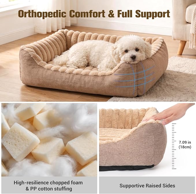 Avont Supportive Dog Bed for Small Medium Dogs, Plush Foam Fill, Camel | Removable Machine Washable Cover, Low 5.12" Entry for Pups & Seniors, 7:3 Foam-PP, Non-slip Bottom, Hidden Chew-proof Zippers