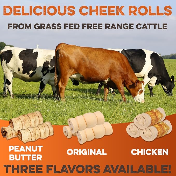 Premium Beef Cheek Rolls for Dogs 10-12" - (10-Pack) Long Lasting, Safe & Natural Rawhide Alternative Chews, Ideal for Large Dogs & Aggressive Chewers, Supports Dental Health & Digestion