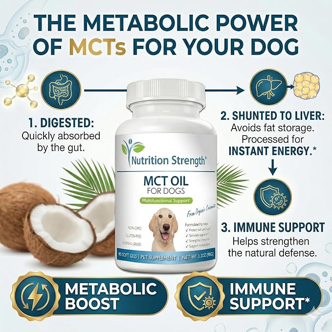 MCT Oil for Dogs from Organic Coconuts - Support Cognitive Function & Energy - Pure C8 & C10 Medium Chain Triglycerides - Boost Immunity & Senior Dog Brain Support, 90 Soft Gels