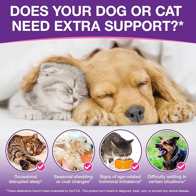 Liquid Melatonin for Dogs & Cats, 60ml Dog Melatonin Calming Drops with L-Theanine, Cat Calming Dog Sleep Aid Support Anxiety Relief for Travel, Separation, Barking, Fireworks (60ml (Pack of 2)