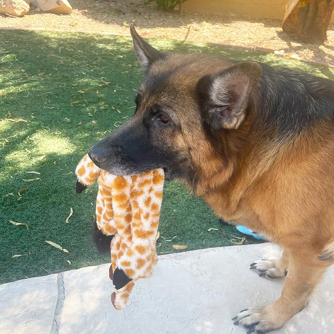 Jalousie 5 Pack Ultra Tough No Stuffing Squeaky Dog Toys for Large Dogs No Mess Interactive Durable Plush Chew Toy Indestructible Dog 6 Layers (5 Pack - Extra-Large - Premium Furrrr, X Large)