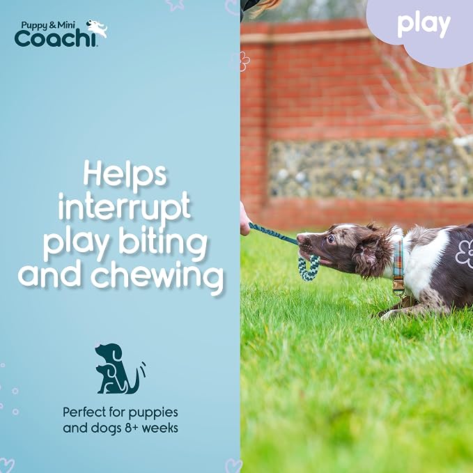 Coachi Puppy & Mini Tuggi Helix - Lightweight, Tough Dog Toy, Safe & Fun, Stretchy Bungee Handle, Reward Training, Recall, Agility, Interrupt Biting & Chewing. Suitable for Small Dogs & Puppies