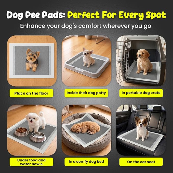 FPN Puppy Pads for Dogs Charcoal | Disposable Pee Pads for Puppies & Small Dogs | Pet Training Pads for Potty Training, Small Dog Pee Pads, Puppy Pads Bulk (100, 13x18 inch)