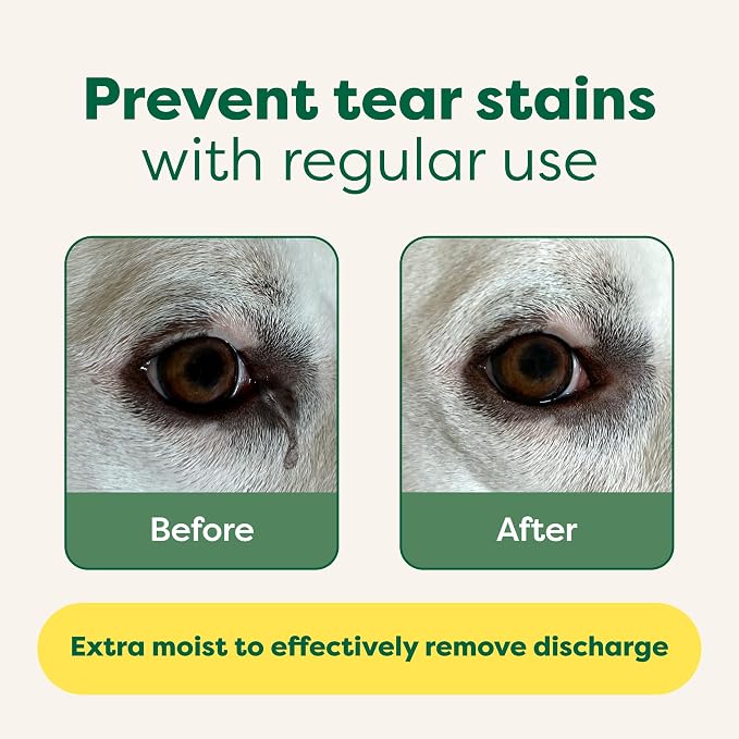 Earth Rated Ultimate Dog Grooming Bundle - Includes Unscented Grooming Wipes, Hypoallergenic Ear and Eye Wipes