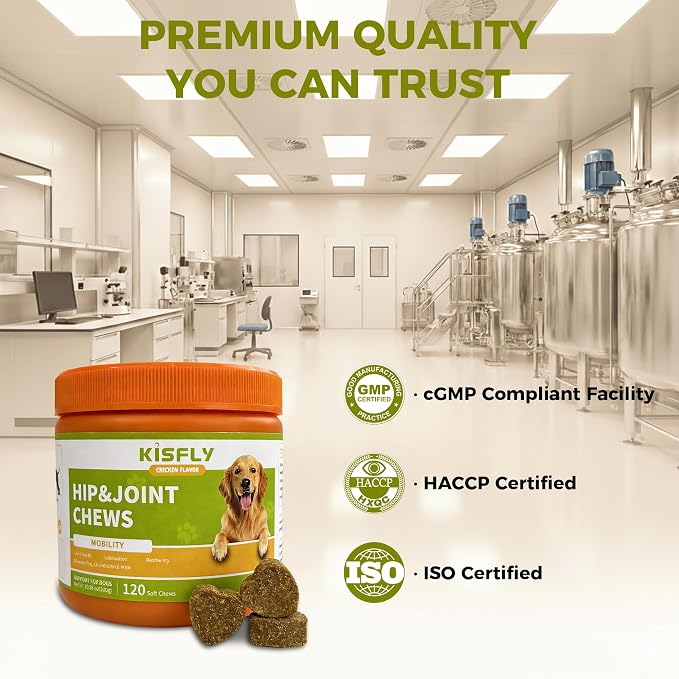 Hip & Joint Chews for Senior Dogs – Advanced Mobility Formula | Glucosamine, chondroitin & MSM soft chews support mobility, flexibility & daily activity for large and aging dogs.