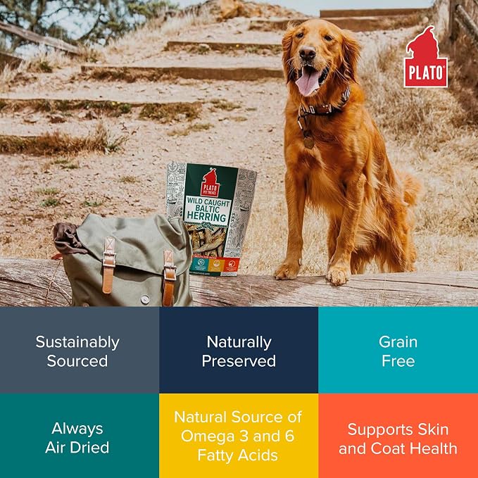 Plato Pet Treats Fish Dog Treats - Air-Dried, Single Ingredient Pet Treat - Omega 3 & 6 Fatty Acids to Support Skin and Coat - 100% Whole Fish - Wild Caught Baltic Herring - 8.5 oz - 2 Pack