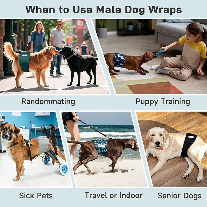 Langsprit Small Male Dog Diapers for Doggie Puppy,Reusable Belly Bands for Male Dogs Wraps,Washable Doggy Dog Diapers Medium Large in Incontinence 5 Pack (Brown, Green, Grey, Medium)