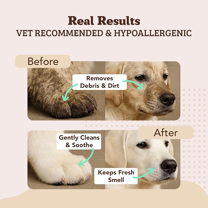 Natural Dog Company Eye & Grooming Wipes Bundle for Dogs – Tear Stain Remover & Full-Body Deodorizing Wipes with Green Tea, Goldenseal & Aloe – Hypoallergenic, Vegan – 100 ct + 50 ct