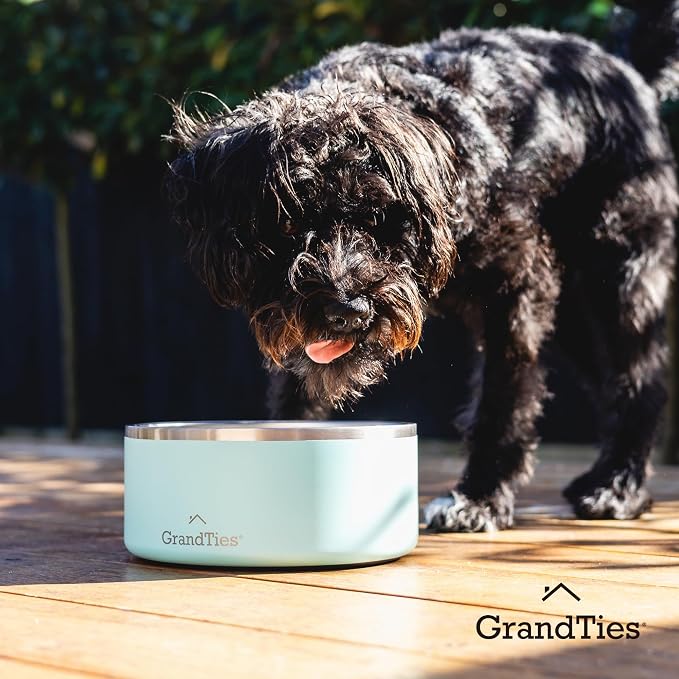 GrandTies Stainless Steel Engraved Pet Bowl | Reusable BPA-Free Insulated Pet Bowls | Large Heavy Duty Non Skid Spill Proof Dog Bowl | Outdoor Water Bowl (24oz, Powder Green)