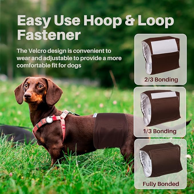 Pet Soft Dog Belly Bands Spaxce XS + Dog Suspenders 2 Pieces XS