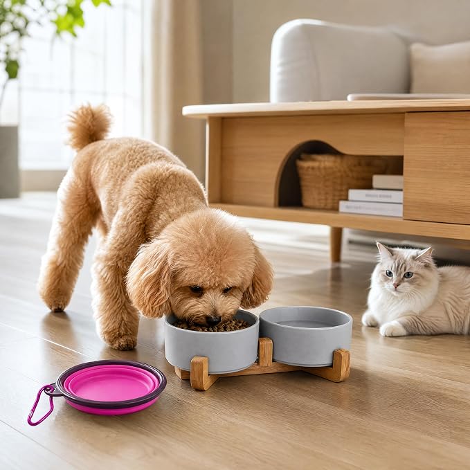 Petygooing Ceramic Dog Bowl Set with Wood Stand, Grey, 13.5OZ/5.1 in, Suitable for Cats & Small Dogs