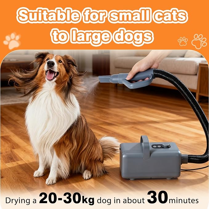 FansaFurn Professional 1550W High-Velocity Pet/Dog Grooming Dryer Blower - Adjustable Speed & Temperature with Heater & 4 Nozzle Attachments (Grey)
