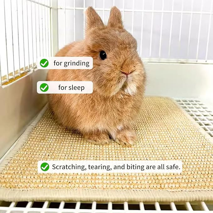 1PCS Rabbit Scratch Mat Natural Bunny Scratching Pad Claws and Teeth Care Rabbit Mats for Cages Rabbit Chew Toys for Bunny Pet Cage Bedding for Biting Sleeping Nesting, 24x16