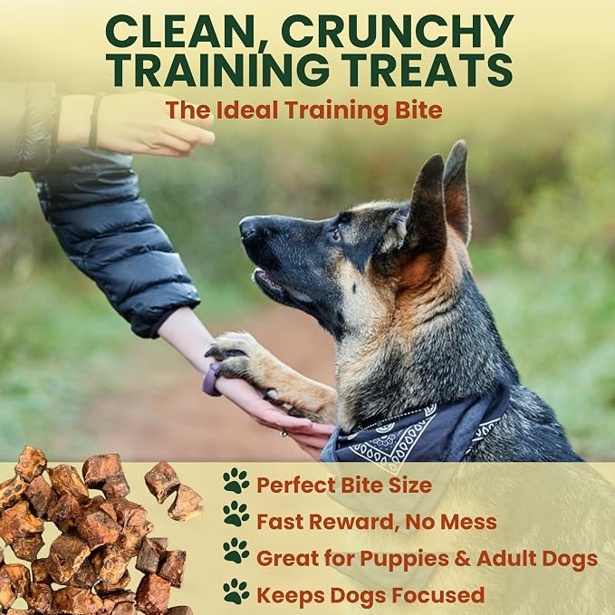 1 Lb Beef Lung Training Treats for Dogs – Single Ingredient Crunchy Bites, High Protein Low Fat Natural Dog Treats, Perfect Reward Snacks for All Dogs