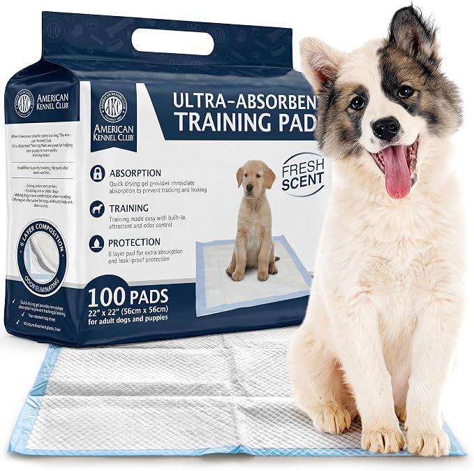 American Kennel Club Scented Puppy Training Pads with Ultra Absorbent Quick Dry Gel – 22 x 22 Pee Pads for Dogs - Fresh Scented - Pack of 100