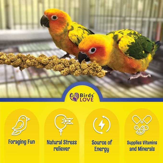 1lb Economy & Special Spray Millet for Birds – GMO-Free, No Stems (Only Edible Tops) – 100% Natural Sun-Dried Foraging Treat for Cockatiels, Lovebirds, Parakeets, Finches & Canaries