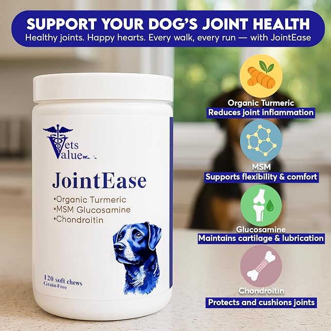 Joint Support for Dog with Glucosamine, Chondroitin & MSM - Daily Supplement That Helps Support Healthy Joints and Mobility - 120 Count