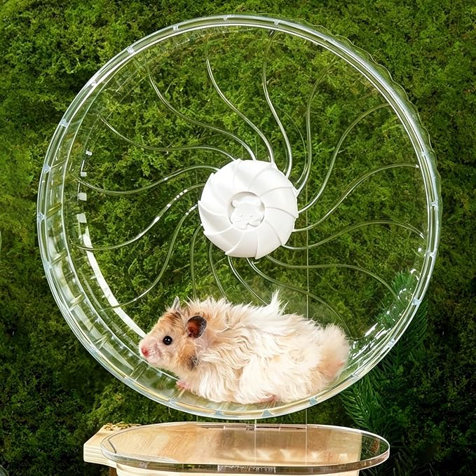 Silent Exercise Wheel with Adjustable Stand for Hamsters, Gerbils, Mice & Small Pets + Free Cleaning Cloth - 10.2" Diameter Running Wheel, Easy Clean, Anti-Slip Track (Transparent)