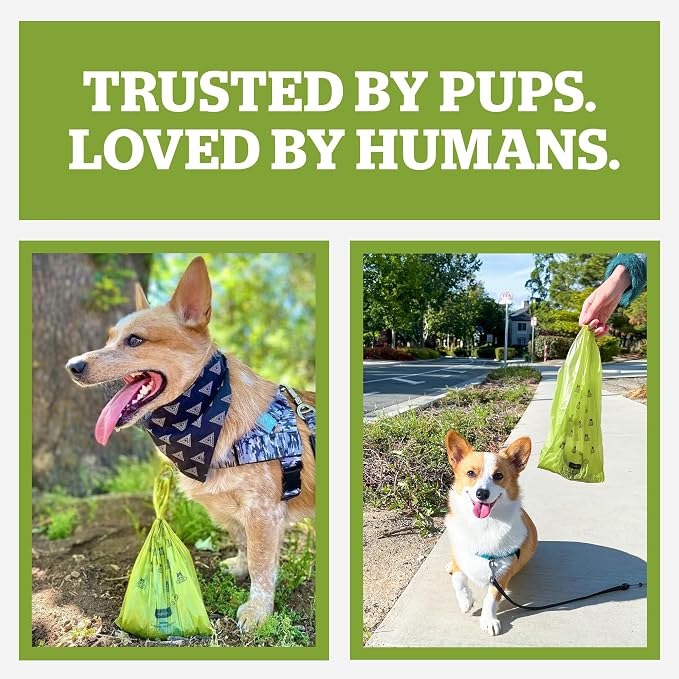 Pogi’s Dog Poop Bags with Handles – Extra-Thick, Leak-Proof, Large, Unscented, 900-Count