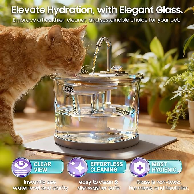 70oz Glass Cat Water Fountain – Ultra-Quiet for Cats & Small Dogs | 3-Stage Filter, 3 Spray Heads + LED Light, Stainless Steel Top, Dishwasher-Safe Glass Bowl, Easy-Clean Design