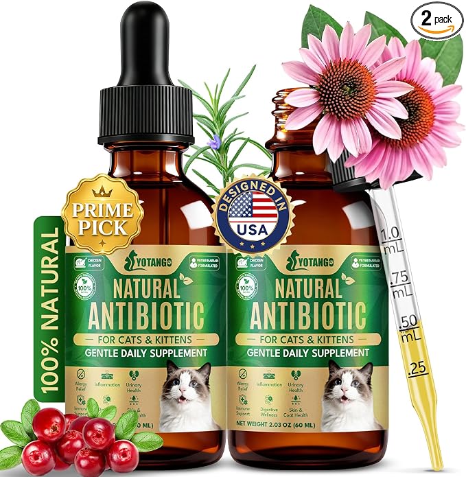 YOTANGO Natural Antibiotics for Cats, Cat Antibiotics for UTI & Itch Support, Immune, Digestive, Allergy, Skin & Coat Support for Cats and Kittens, for All Ages & Breeds (Chicken Flavor-60ml 2 Pack)