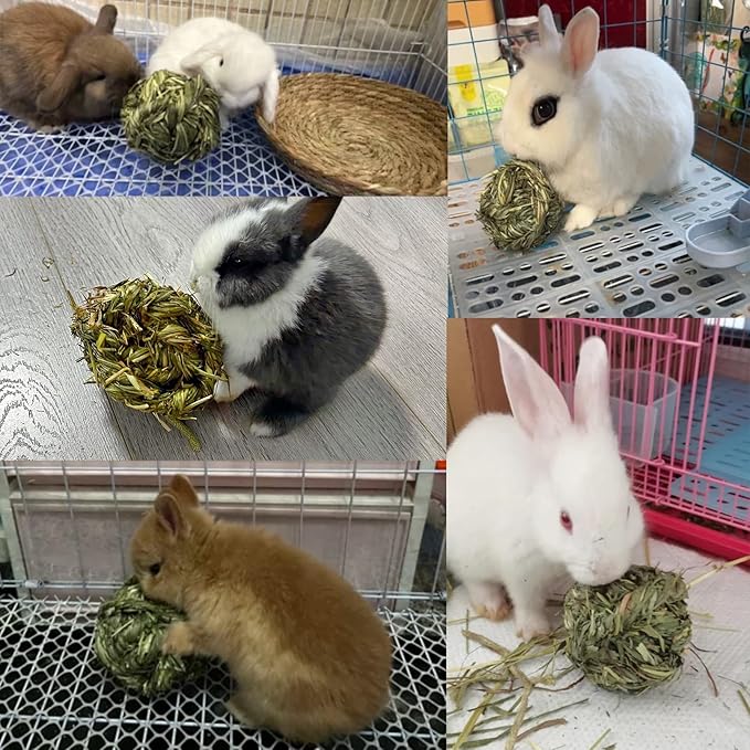 Hamiledyi Rabbit Chew Ball Timothy Grass Grinding Small Animal Activity Play Chew Toys for Bunny Rabbits Hamster Guinea Pigs Gerbils (5 PCS)