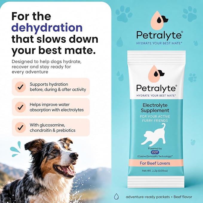 Petralyte Dog Electrolytes and Joint Supplement | Hydration Support for Dogs w/Glucosamine, Chondroitin & More | Electrolytes for Dogs with Prebiotics | for Beef Lovers | 32 Packets