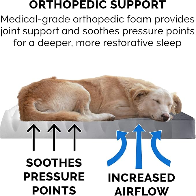 Furhaven Orthopedic Dog Bed for Large/Medium Dogs w/ Removable Washable Cover, For Dogs Up to 55 lbs - Terry & Suede Mattress - Gray, Large