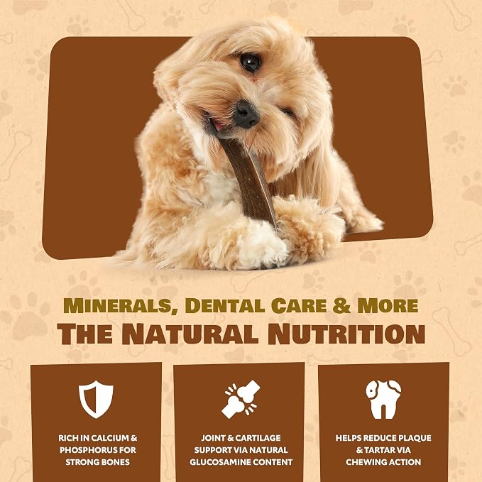 Extra Small 4 Pack (Splits) All Natural Premium Grade A. Elk Antler Chew. Naturally Shed, Hand-Picked, and Made in The USA. NO Odor, NO Mess. GUARENTEED SATISIFACTION. for Dogs 10-20 lbs