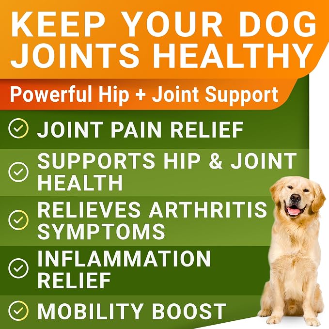 STRELLALAB Liquid Glucosamine for Dogs 32 OZ - Joint Support - All-Natural Hip & Joint Supplement, Glucosamine Chondroitin Liquid, MSM & Collagen for Dogs Mobility, Joint Pain Relief (Pack of 2 16oz)