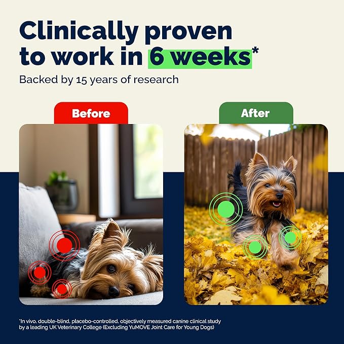 YuMOVE Small Dog Hip & Joint Supplement Soft Chews, ActivEase Green Lipped Mussel, Glucosamine for Dogs, Hyaluronic Acid & Omega 3 - Hickory Seafood Flavor - 60 Chews (Small/Medium Dogs)