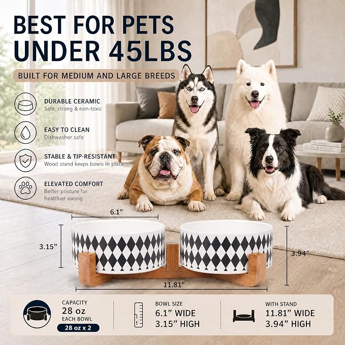 Petygooing Ceramic Dog Cat Bowl Set with Stand, Pet Food and Water Dishes,Small Dog Bowls Anti-Slip Set of 2 Cat Bowls-Pet Food Bowl- Pet Dish Small Medium Size Pet (28OZ/6.1 in) Black Rhombus