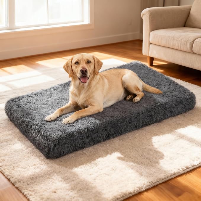 Orthopedic Dog Bed for Medium Dogs, Dual-Layer Memory & Egg-Crate Foam, Washable Warm Winter Plush Cover, Waterproof Liner, Non-Slip Bottom, Crate/Kennel Pad, 35 x 22 Inch, Dark Gray