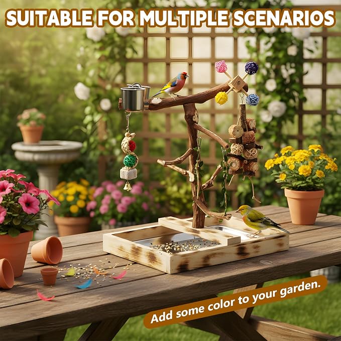 Large Bird Playground with Natural Wood perches, Suitable for Small Birds Such as Budgies, Conures, and Lovebirds. Includes Feeding Cups, a Swing, and Bird Chewing Toys.