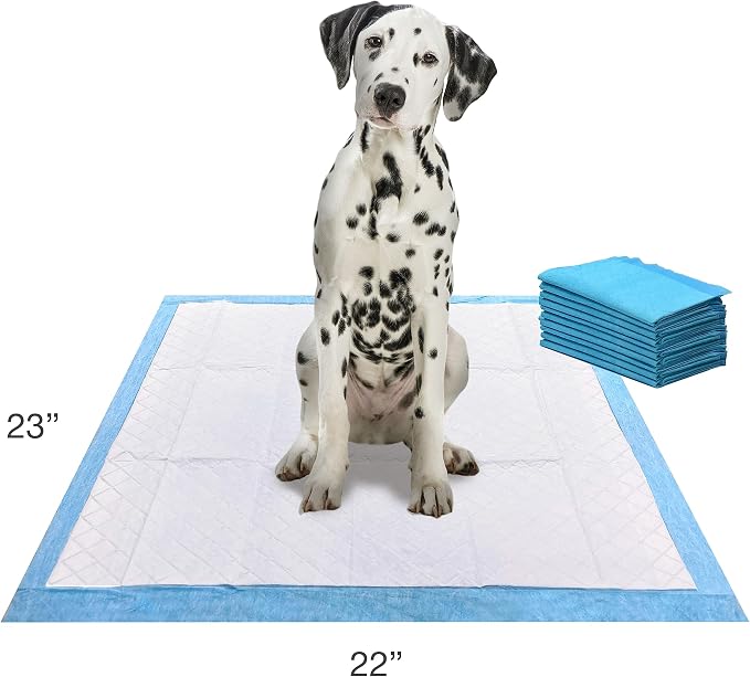 Four Paws Wee-Wee Ultimate Attractant Grass Scented Pee Pads for Dogs & Puppies, Leak-Proof Dog Housebreaking Instinctive Potty Training Floor Protection, 22" x 23", 10 Count