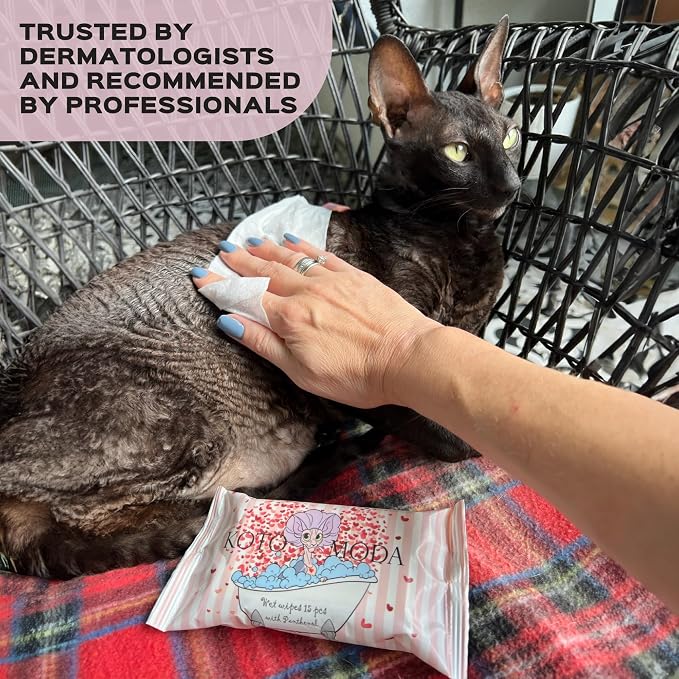Wet Wipes with Panthenol for Sphynx & Shorthair Cats — 16Pack/240Count Pack, Hypoallergenic Dander & Odor Grooming Wipes