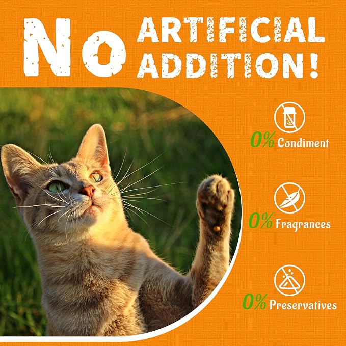 Just Try 36 OZ Pumpkin Cat Treats Cat Constipation Relief Hairball Control Healthy Salmon Snacks Training Biscuits Treats for Digestive Support Low Calorie Kitten Snacks
