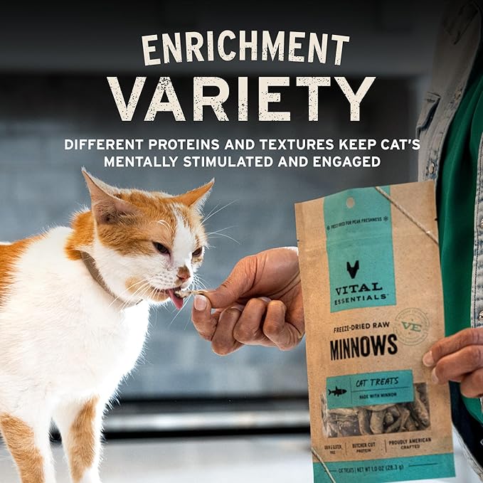 Vital Essentials Freeze Dried Raw Chicken Hearts Cat Treats | Single Ingredient | Premium Quality | Grain Free, Healthy Treats for Cats, 2.75 oz Bag
