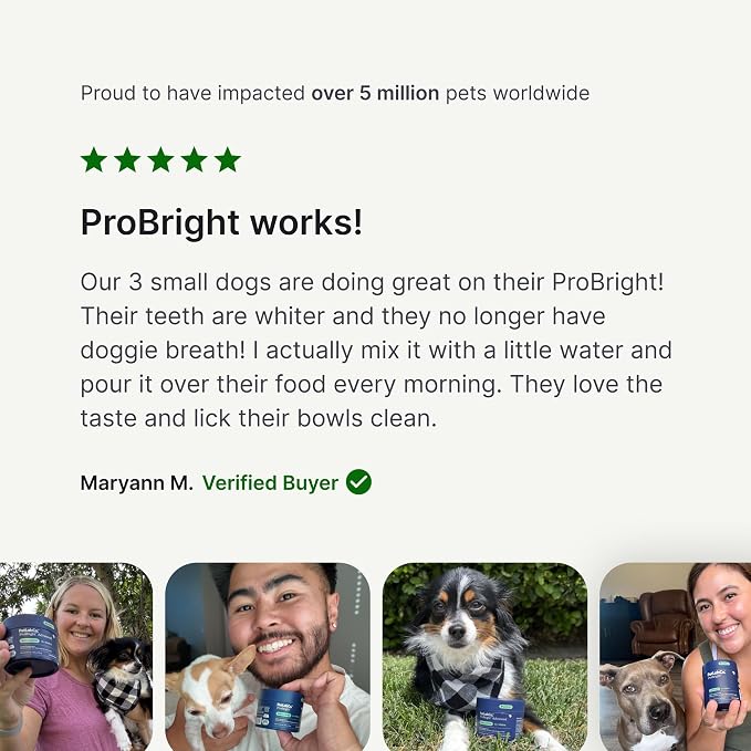 PetLab Co. ProBright Dental Powder - Dog Breath Freshener - Teeth Cleaning Made Easy – Targets Tartar & Bad Breath - Formulated for Large Dogs - Packaging May Vary
