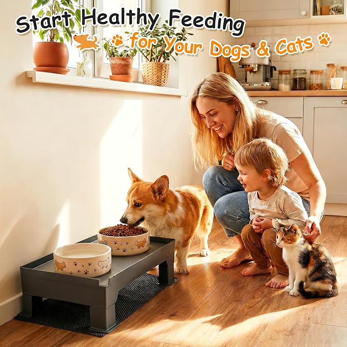 Adjustable Raised Dog Bowl Stand and 100% Waterproof & Non-Slip Mat, Elevated Dog Bowls Stand for Small Medium Sized, Easy-Clean Silicone Pet Food Mat- Neck Strain Relief & Protect Your Floors