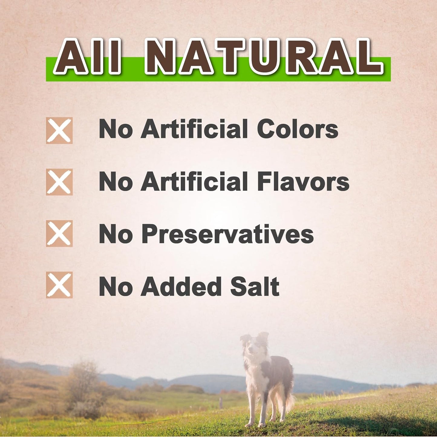 AFreschi Natural Chicken Fillet Jerky 16 oz, Dog Treats, All Natural, Grain-Free, High-Protein, Low Fat, Healthy & Easily Digestible