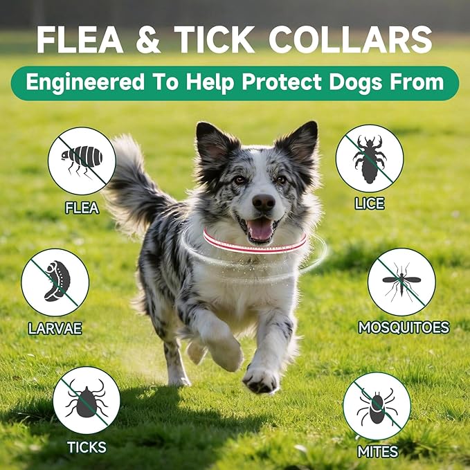 Flea Collar for Dogs, 4 Pack Flea and Tick Prevention for Dogs, 32 Months Dog Flea and Tick Treatment, Adjustable Dog Flea Collars, Waterproof Dog Flea Treatment Collar, Flea Treatment for Dogs