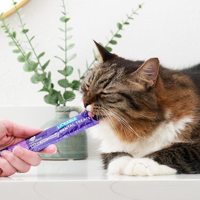 Ark Naturals Kiss Me-Ow Lickable Cat Dental Treats Variety Pack - Promotes Hydration, Dental & Overall Health - Chicken, Tuna & Salmon Flavors (2pk)